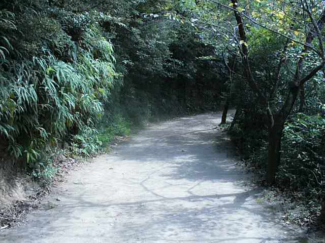 kanagawa-pond-nobeoka-path.jpg