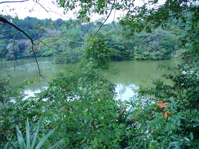 kanagawa-pond-nobeoka-water.jpg