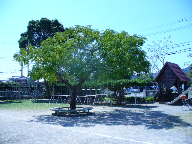 tree-at-a-youchien.jpg