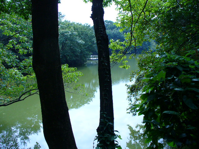 kanagawa-pond-nobeoka-shade.jpg